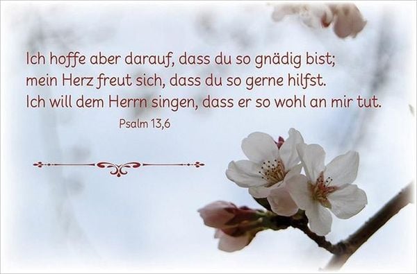 Produktbild: Deine Gebete aus den Psalmen