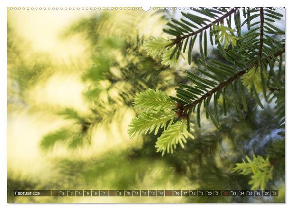 Produktbild: Feng Shui Farben - Element: Holz (hochwertiger Premium Wandkalender 2026 DIN A2 quer), Kunstdruck in Hochglanz