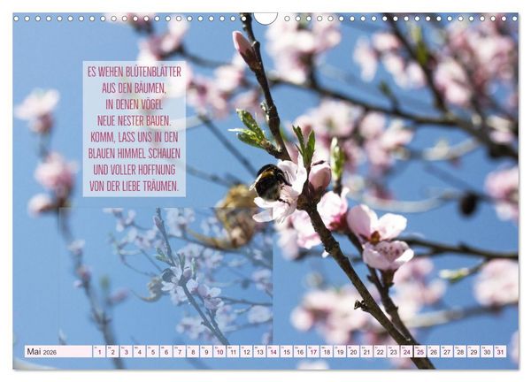 Produktbild: Stimmungsreigen Gef&uuml;hlvolle Texte und Bilder (Wandkalender 2026 DIN A3 quer), CALVENDO Monatskalender