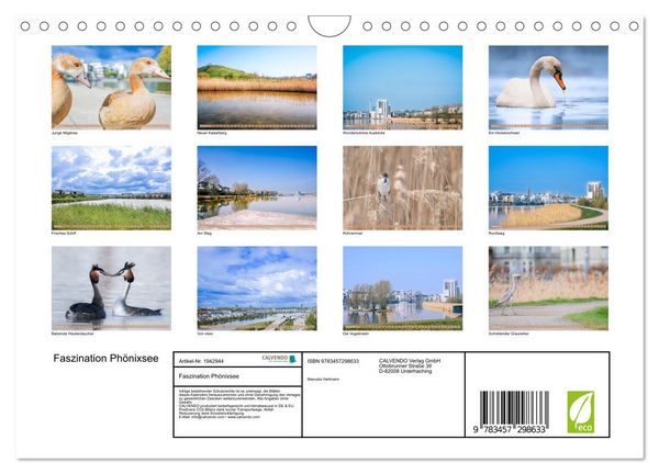 Produktbild: Faszination Ph&ouml;nixsee (Wandkalender 2026 DIN A4 quer), CALVENDO Monatskalender