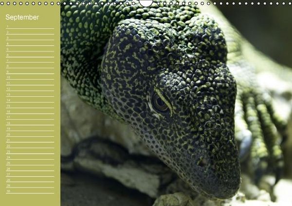 Produktbild: Drachen / Geburtstagskalender (Wandkalender immerw&auml;hrend DIN A3 quer)