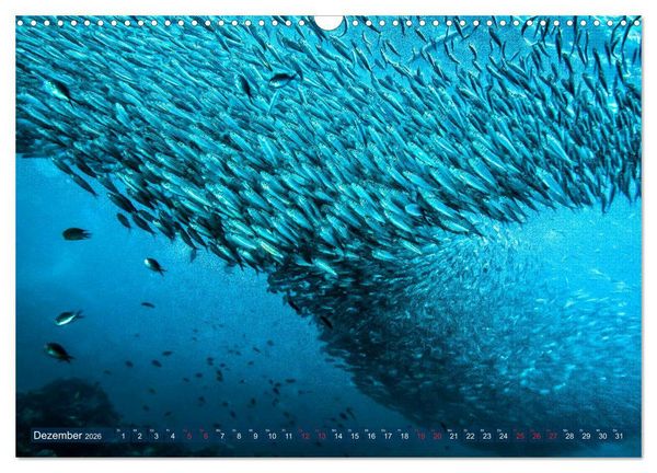 Produktbild: Wunderwelt Unterwasser (Wandkalender 2026 DIN A3 quer), CALVENDO Monatskalender
