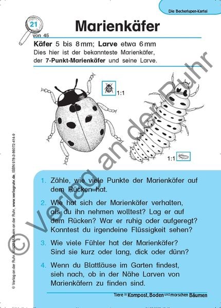 Produktbild: Tiere in Kompost, Boden und morschen B&auml;umen