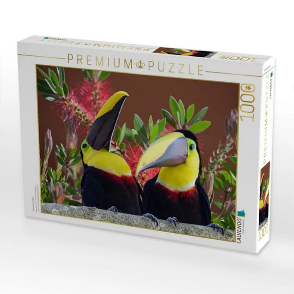 CALVENDO Puzzle Swainson Tukan | 1000 Teile Lege-Größe 64x48cm Foto-Puzzle für glückliche Stunden