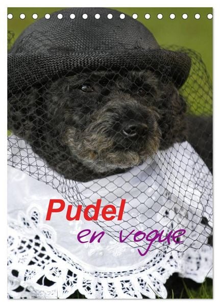 Produktbild: Pudel en vogue (Tischkalender 2026 DIN A5 hoch), CALVENDO Monatskalender