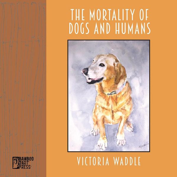 Produktbild: The Mortality of Dogs and Humans