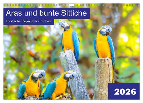 Produktbild: Aras und bunte Sittiche: Exotische Papageien-Portr&auml;ts (Wandkalender 2026 DIN A3 quer), CALVENDO Monatskalender