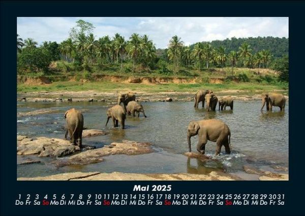 Produktbild: Tierkalender 2025 Fotokalender DIN A5