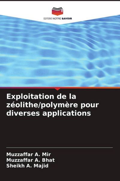Produktbild: Exploitation de la z&eacute;olithe/polym&egrave;re pour diverses applications