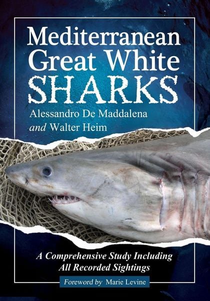 Produktbild: Mediterranean Great White Sharks