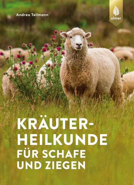 Produktbild: Kr&auml;uterheilkunde f&uuml;r Schafe und Ziegen