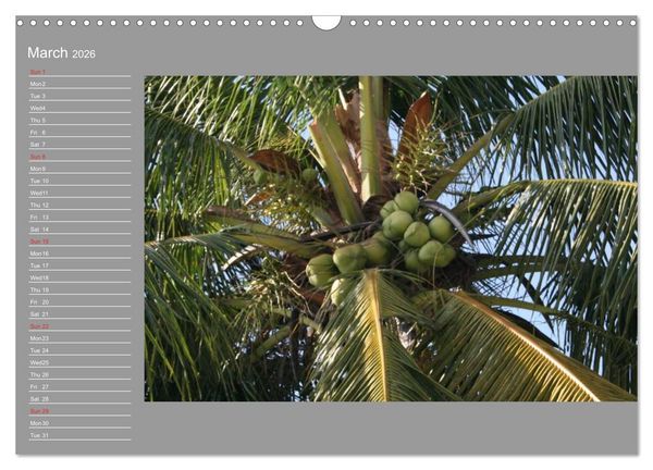 Produktbild: Philippines Colorful Life (Wall Calendar 2026 DIN A3 landscape), CALVENDO 12 Month Wall Calendar