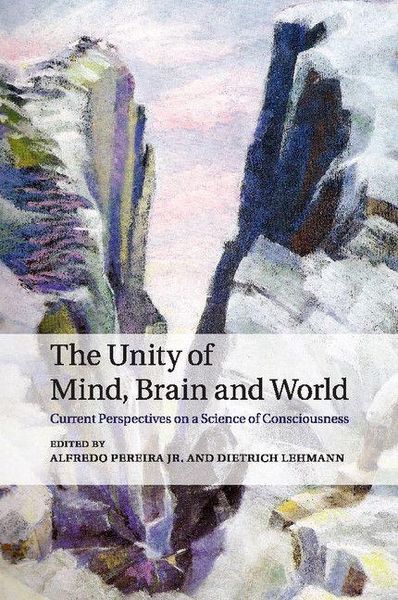 Produktbild: The Unity of Mind, Brain and World