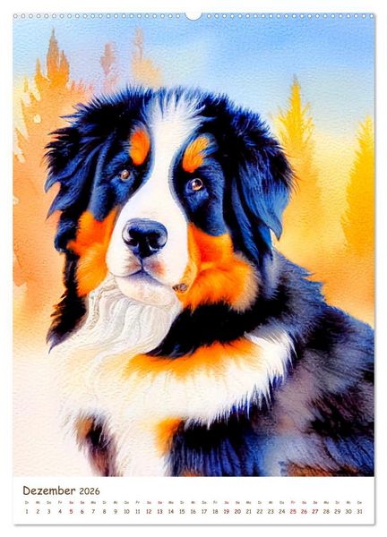 Produktbild: Berner Sennenhund 2026. Sch&ouml;ne Aquarelle der schweizer Hunderasse (hochwertiger Premium Wandkalender 2026 DIN A2 hoch), Kunstdruck in Hochglanz