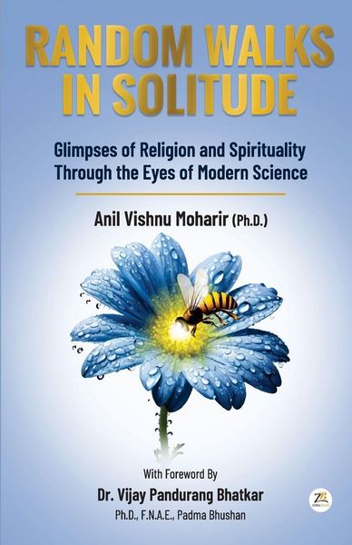 Produktbild: Random Walks In Solitude