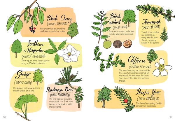 Produktbild: Nature Anatomy