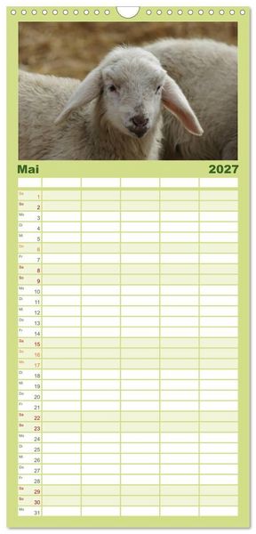 Produktbild: Familienplaner 2027 - Das Leben der Schafe mit 5 Spalten (Wandkalender, 21 x 45 cm) CALVENDO