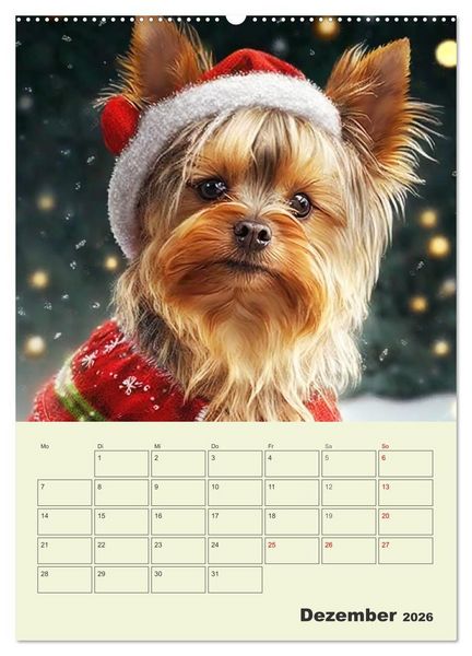 Produktbild: Yorkshire Terrier. Fr&ouml;hliche Energieb&uuml;ndel in Aktion (Wandkalender 2026 DIN A2 hoch), CALVENDO Monatskalender