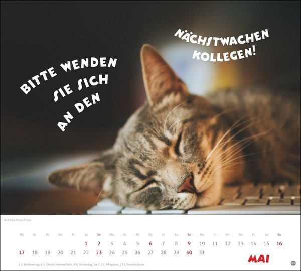 Produktbild: Mach mal Pause Bildkalender 2027