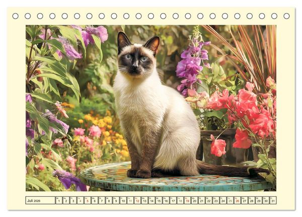 Produktbild: Edle Siamkatzen. Anmut und Charakter im Spiel mit der Natur (Tischkalender 2026 DIN A5 quer), CALVENDO Monatskalender