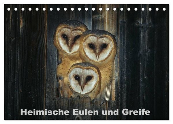 Produktbild: Heimische Eulen und Greife (Tischkalender 2026 DIN A5 quer), CALVENDO Monatskalender