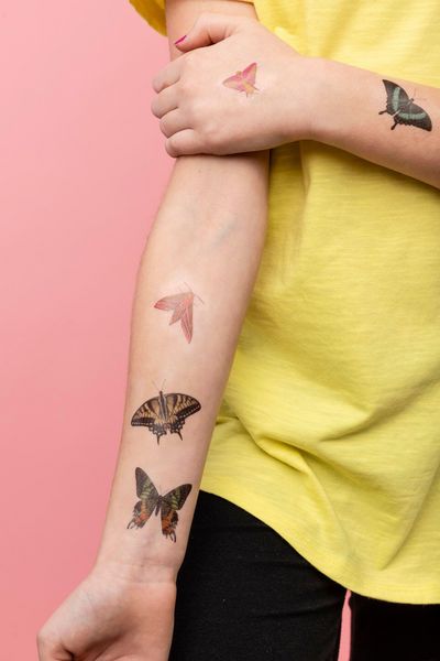 Produktbild: Fluttery, Friendly Tattoo Butterflies and Other Insects