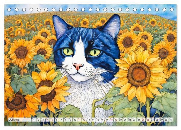 Produktbild: Katzenzauber - Katzenkalender mit stimmungsvollen Bildern (Tischkalender 2026 DIN A5 quer), CALVENDO Monatskalender