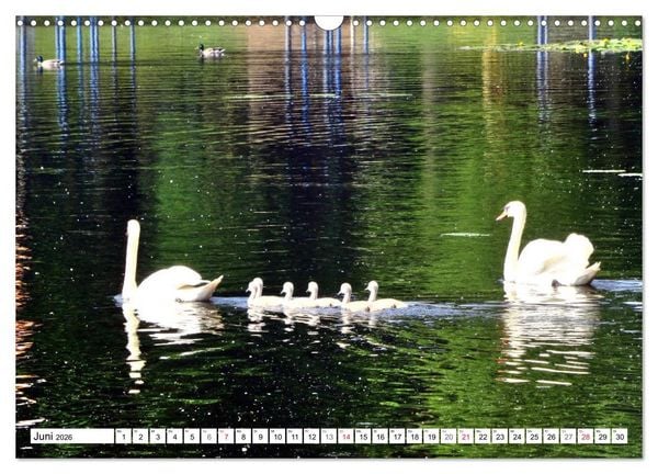 Produktbild: Oranienburg - Kleinod an der Havel (Wandkalender 2026 DIN A3 quer), CALVENDO Monatskalender