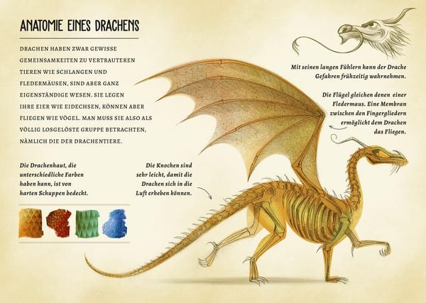 Produktbild: Drachen