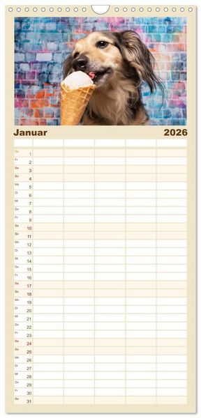 Produktbild: Familienplaner 2026 - Cool Dogs - Hunde-Spa&szlig; im Studio mit 5 Spalten (Wandkalender, 21 x 45 cm) CALVENDO