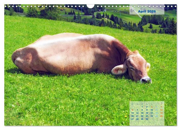 Produktbild: ALLG&Auml;U, im Wandel der Jahreszeiten. (Wandkalender 2026 DIN A3 quer), CALVENDO Monatskalender