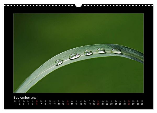 Produktbild: Meine kleine gr&uuml;ne Wassertropfen Welt (Wandkalender 2026 DIN A3 quer), CALVENDO Monatskalender