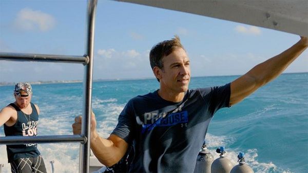 Produktbild: Echo, der Delphin - Eine Freundschaft f&uuml;rs Leben
