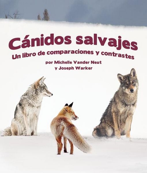 Produktbild: C&aacute;nidos Salvajes: Un Libro de Comparaciones Y Contraste