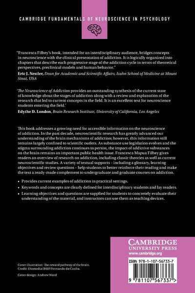 Produktbild: The Neuroscience of Addiction