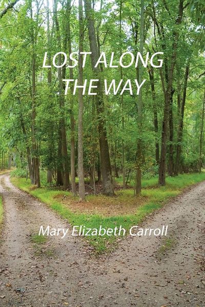 Produktbild: Lost Along the Way