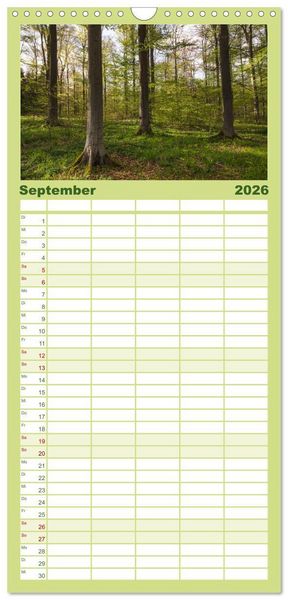 Produktbild: Familienplaner 2026 - Magischer Harzwald mit 5 Spalten (Wandkalender, 21 x 45 cm) CALVENDO