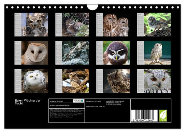 Produktbild: Eulen. W&auml;chter der Nacht (Wandkalender 2026 DIN A4 quer), CALVENDO Monatskalender