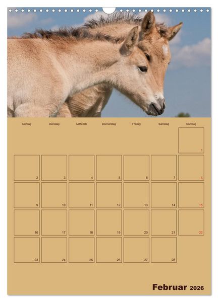 Produktbild: Pferde Gute Freunde (Wandkalender 2026 DIN A3 hoch), CALVENDO Monatskalender