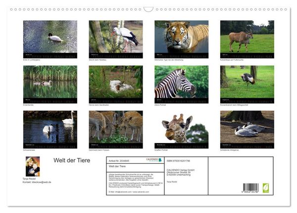 Produktbild: Welt der Tiere (Wandkalender 2026 DIN A2 quer), CALVENDO Monatskalender