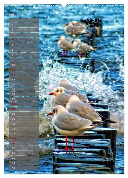 Produktbild: Ostsee Tour Deutschland - maritime Highlights (hochwertiger Premium Wandkalender 2026 DIN A2 hoch), Kunstdruck in Hochglanz