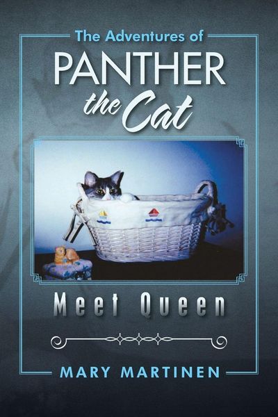 Produktbild: The Adventures of Panther the Cat
