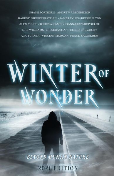 Produktbild: Winter of Wonder