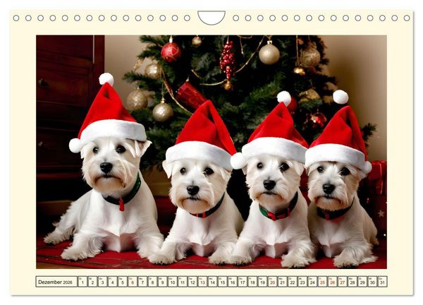 Produktbild: Winzlinge der Hundewelt (Wandkalender 2026 DIN A4 quer), CALVENDO Monatskalender