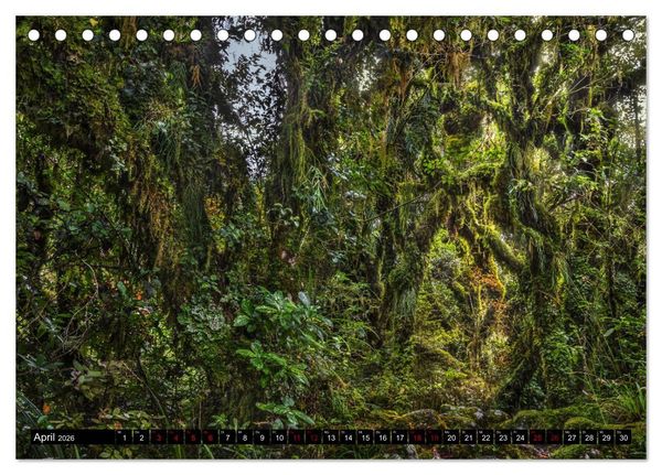 Produktbild: Trauminseln Neuseeland (Tischkalender 2026 DIN A5 quer), CALVENDO Monatskalender