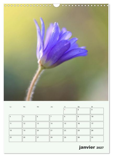 Produktbild: Fleurs en toute simplicit&eacute; - Beaut&eacute; minimaliste (Calendrier mural 2027 DIN A3 horizontal), CALVENDO calendrier mensuel