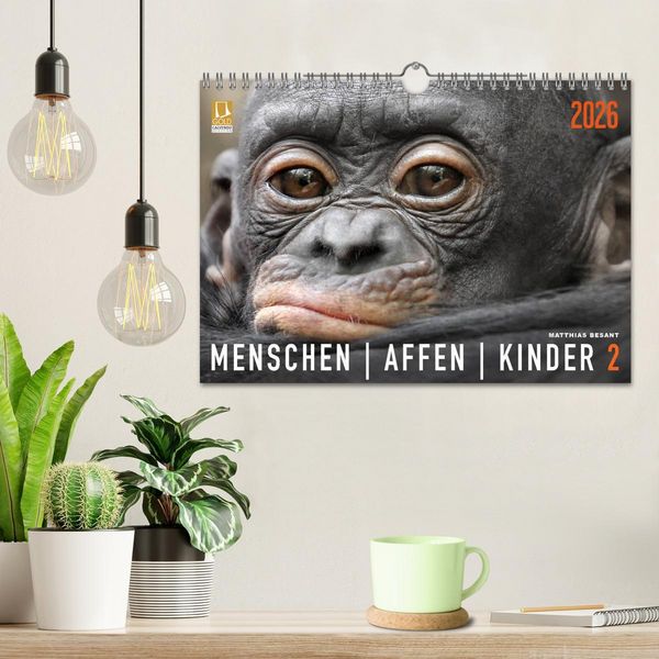 Produktbild: MENSCHENAFFENKINDER 2 (Wandkalender 2026 DIN A4 quer), CALVENDO Monatskalender