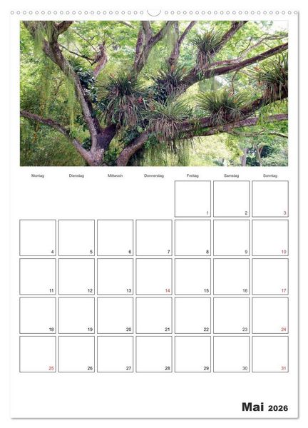 Produktbild: Venezuela - Land der Kontraste (hochwertiger Premium Wandkalender 2026 DIN A2 hoch), Kunstdruck in Hochglanz