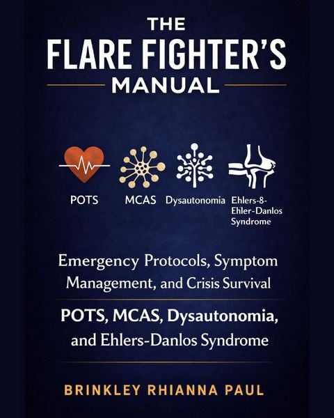 Produktbild: The Flare Fighter's Manual