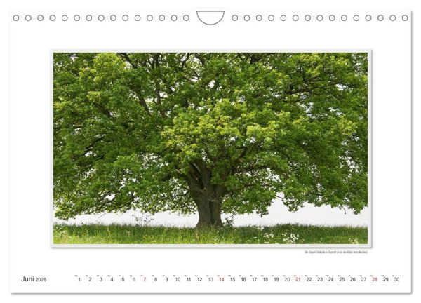 Produktbild: Emotionale Momente: Altenkirchen - der lebenswerte Landkreis im Norden des Westerwaldes. (Wandkalender 2026 DIN A4 quer), CALVENDO Monatskalender